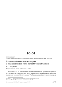 Взаимодействие птиц в парах у обыкновенной гаги Somateria mollissima