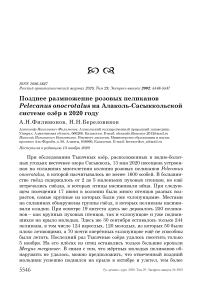 Позднее размножение розовых пеликанов Pelecanus onocrotalus на Алаколь-Сасыккольской системе озёр в 2020 году