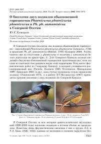 О биологии двух подвидов обыкновенной горихвостки Phoenicurus phoenicurus phoenicurus и Рh. ph. samamisicus в Северной Осетии