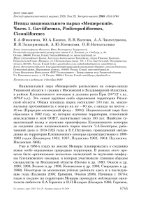 Птицы национального парка "Мещерский". Часть 1. Gaviiformes, Podicepediformes, Ciconiiformes