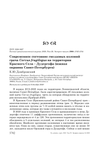 Современное состояние гнездовых колоний грача Corvus frugilegus на территории Красного Села - Дудергофа (южная окраина Санкт-Петербурга)