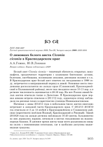 О зимовках белого аиста Ciconia ciconia в Краснодарском крае