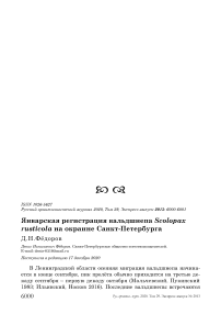 Январская регистрация вальдшнепа Scolopax rusticola на окраине Санкт-Петербурга