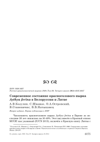 Современное состояние красноголового нырка Aythya ferina в Белоруссии и Литве
