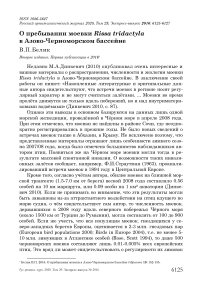 О пребывании моевки Rissa tridactyla в Азово-Черноморском бассейне