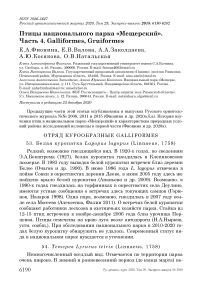 Птицы национального парка «Мещерский». Часть 4. Galliformes, Gruiformes