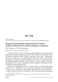 Первая регистрация парусинового нырка Aythya valisineria на Командорских островах