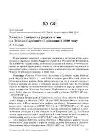 Заметки о встречах редких птиц на Зейско-Буреинской равнине в 2020 году