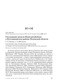 Гнездование ремеза Remiz pendulinus в Пустошкинском районе Псковской области