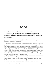 Гнездование большого кроншнепа Numenius arquata в Приморском районе Санкт-Петербурга