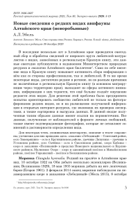 Новые сведения о редких видах авифауны Алтайского края (неворобьиные)