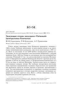 Зимующие птицы заказника «Таёжный» (Центральная Камчатка)