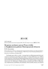 Встречи зелёного дятла Picus viridis в Парфинском районе Новгородской области