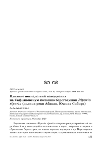 Влияние последствий наводнения на сафьяновскую колонию береговушки Riparia riparia (долина реки Абакан, Южная Сибирь)