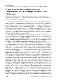 Новые встречи большой белой цапли Casmerodius albus в Ленинградской области