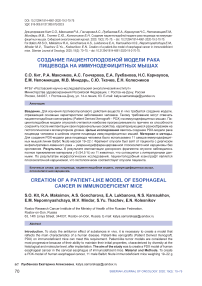 Создание пациентоподобной модели рака пищевода на иммунодефицитных мышах