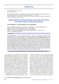 Молекулярно-биологические факторы прогноза при раке предстательной железы