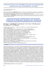 Морфологические и молекулярно-генетические особенности первичных глиобластом у пациентов с необычно высокой продолжительностью жизни