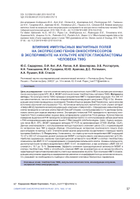 Влияние импульсных магнитных полей на экспрессию генов онкосупрессоров в эксперименте на культуре клеток глиобластомы человека T98G