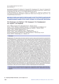 Молекулярная визуализация и интраоперационная радионавигация при раке предстательной железы