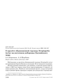 О пролёте обыкновенной горлицы Streptopelia turtur на восточном побережье Каспийского моря