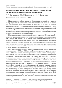 Монгольская чайка Larus (vegae) mongolicus на Байкале: многолетняя динамика