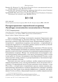 Распространение европейской кедровки Nucifraga caryocatactes caryocatactes в России