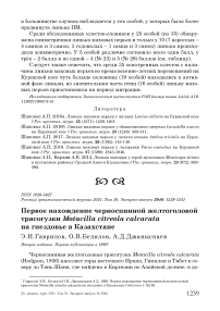 Первое нахождение черноспинной желтоголовой трясогузки Motacilla citreola calcarata на гнездовье в Казахстане