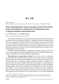 Аннотированный список редких водно-болотных птиц Каспийского побережья Туркменистана и прилегающих низменностей