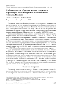 Наблюдение за образом жизни тигрового сорокопута Lanius tigrinus в заповеднике Лишань, Шаньси