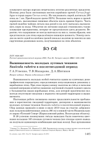 Выживаемость молодых луговых чеканов Saxicola rubetra в послегнездовой период