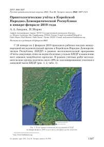 Орнитологические учёты в Корейской Народно-Демократической Республике в январе-феврале 2019 года