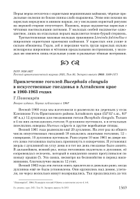 Привлечение гоголей Bucephala clangula в искусственные гнездовья в Алтайском крае в 1960-1963 годах