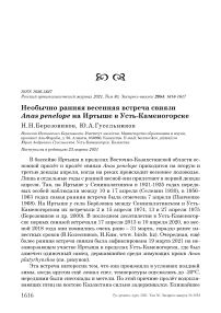 Необычно ранняя весенняя встреча свиязи Anas penelope на Иртыше в Усть-Каменогорске