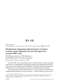 Необычная миграция арктических куликов в пойме реки Припяти на юге Белоруссии осенью 2007 года