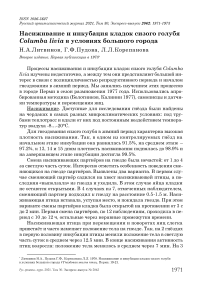 Насиживание и инкубация кладок сизого голубя Columba livia в условиях большого города