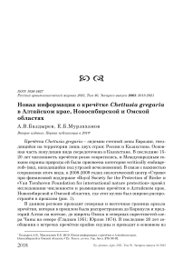 Новая информация о кречётке Chettusia gregaria в Алтайском крае, Новосибирской и Омской областях
