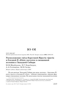 Расположение гнёзд береговой Riparia riparia и бледной R. diluta ласточек в смешанной колонии в Западной Сибири