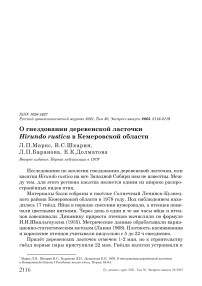 О гнездовании деревенской ласточки Hirundo rustica в Кемеровской области