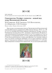 Синехвостка Tarsiger cyanurus - новый вид птиц Московской области