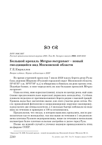Большой крохаль Mergus merganser - новый гнездящийся вид Московской области