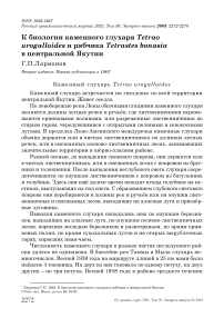 К биологии каменного глухаря Tetrao urogalloides и рябчика Tetrastes bonasia в Центральной Якутии