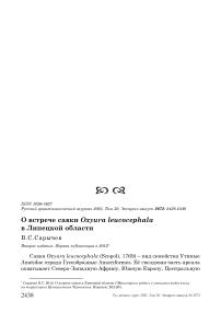 О встрече савки Oxyura leucocephala в Липецкой области