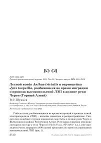 Лесной конёк Anthus trivialis и вертишейка Jynx torquilla, разбившиеся во время миграции о провода высоковольтной ЛЭП в долине реки Черги (Горный Алтай)