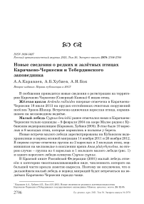 Новые сведения о редких и залётных птицах Карачаево-Черкесии и Тебердинского заповедника