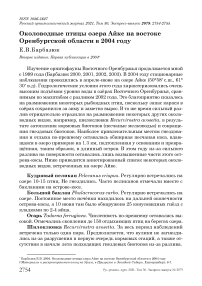 Околоводные птицы озера Айке на востоке Оренбургской области в 2004 году