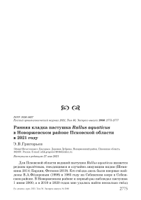 Ранняя кладка пастушка Rallus aquaticus в Новоржевском районе Псковской области в 2021 году