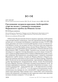 Гнездование журавля-красавки Anthropoides virgo на полях у северного подножия Нарымского хребта на Южном Алтае