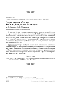 Новые данные об огаре Tadorna ferruginea в Башкирии