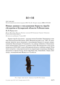 Новые данные о гнездовании беркута Aquila chrysaetos в Бухарской области Узбекистана